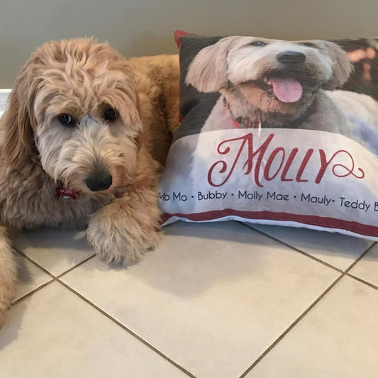 Dog Photo Pillow